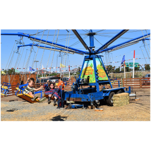 Swings - Image 4