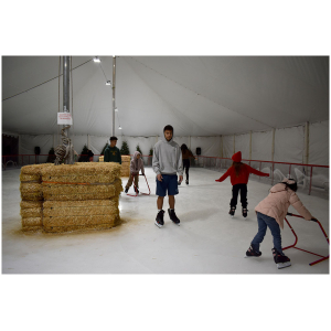 Ice Skating - Image 3