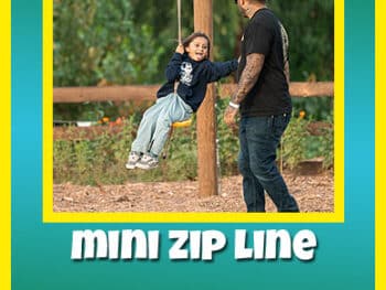 Mini Zip Line